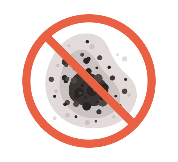 Best Mold Remediation for Healthcare Facilities  in Dunnellon, FL