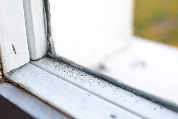 Best Indoor Air Quality Assessment  in Dunnellon, FL